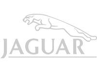 49_Jaguar 49_Jaguar